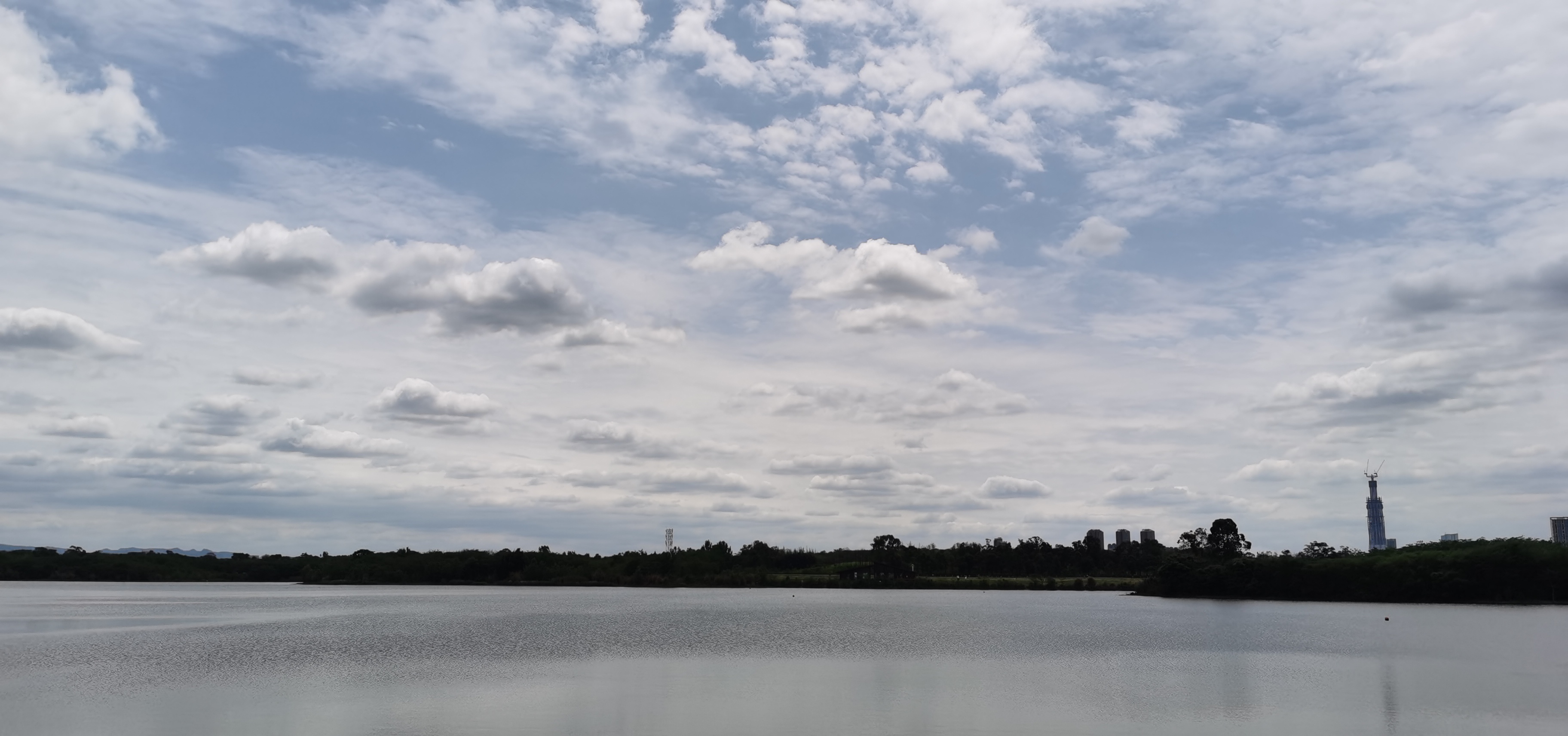 34364472.jpg IMG_20210425_130544.jpg