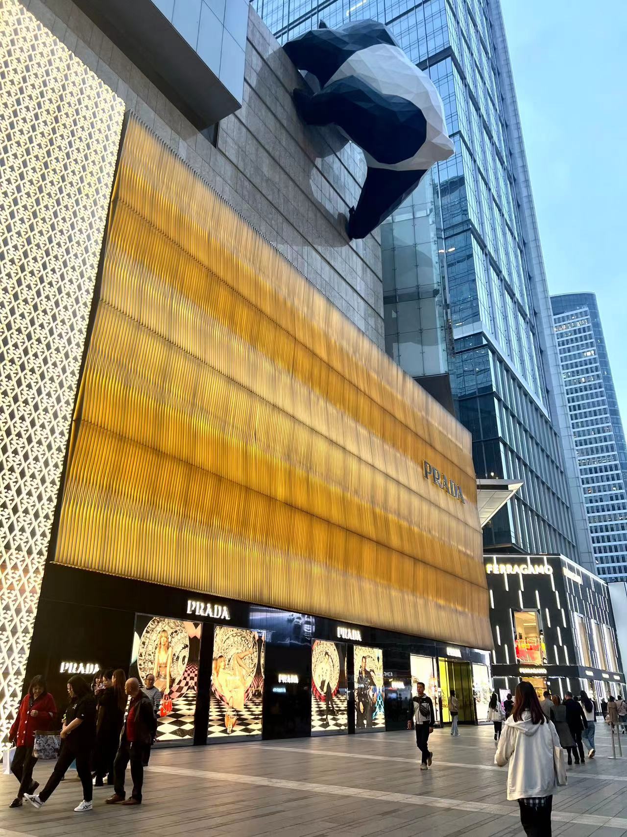 99510619.jpg WechatIMG19111.jpg