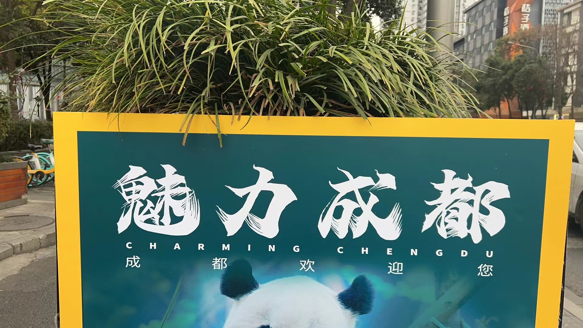 15033253.jpg efcb8acfdbbf7b19df06e69d31bc91e.jpg