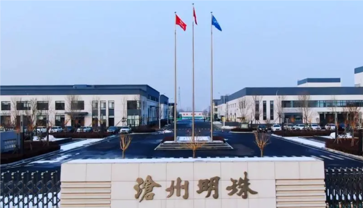 沧州明珠：沧州交控集团拟协议受让11%公司股份，将成为新控股股东