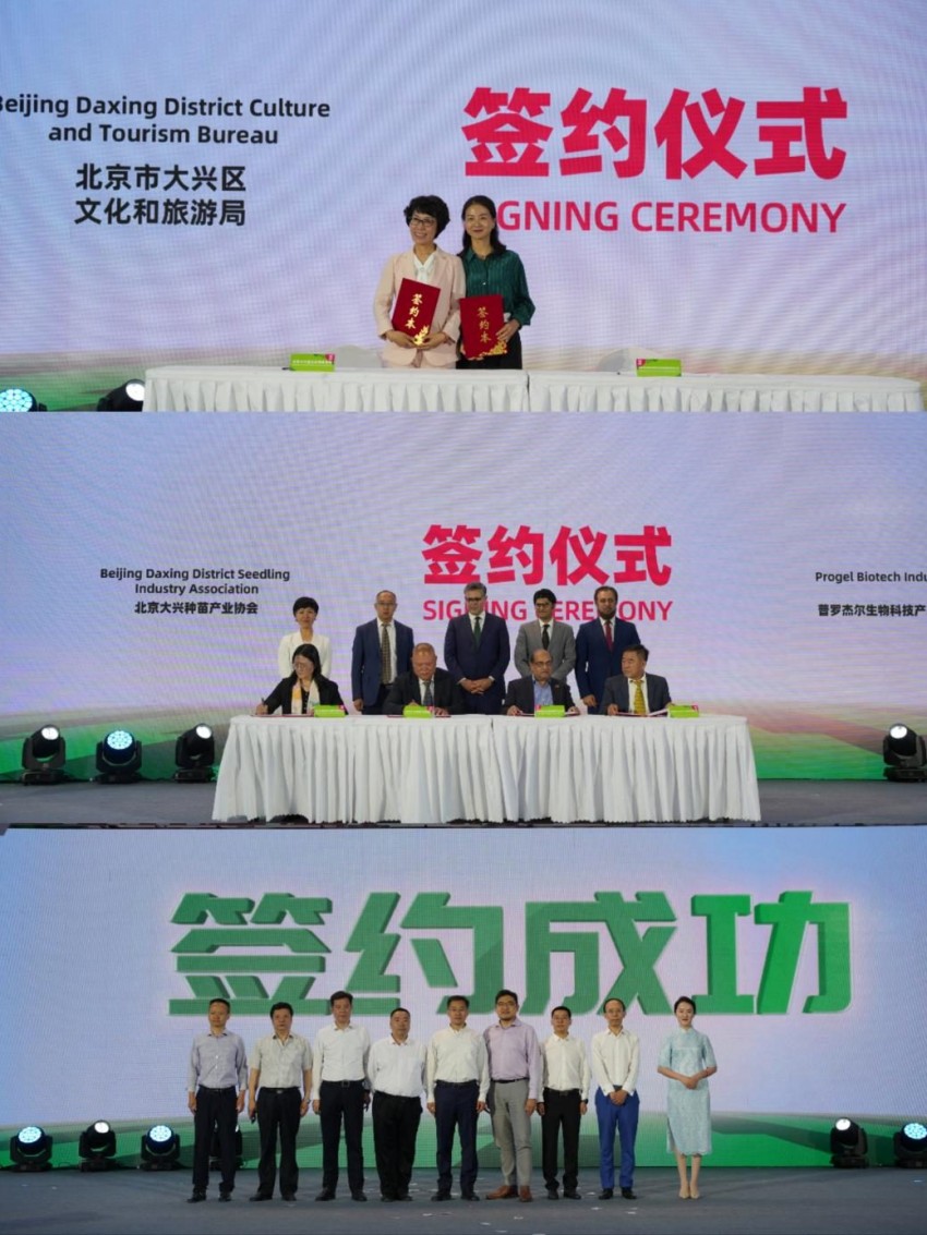 以瓜为媒 绘就发展“兴”图景——第37届北京大兴西瓜节启幕(图5)