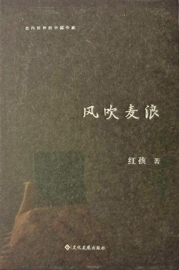 红孩：做一个把文学、哲学和生活打通的人(图8)