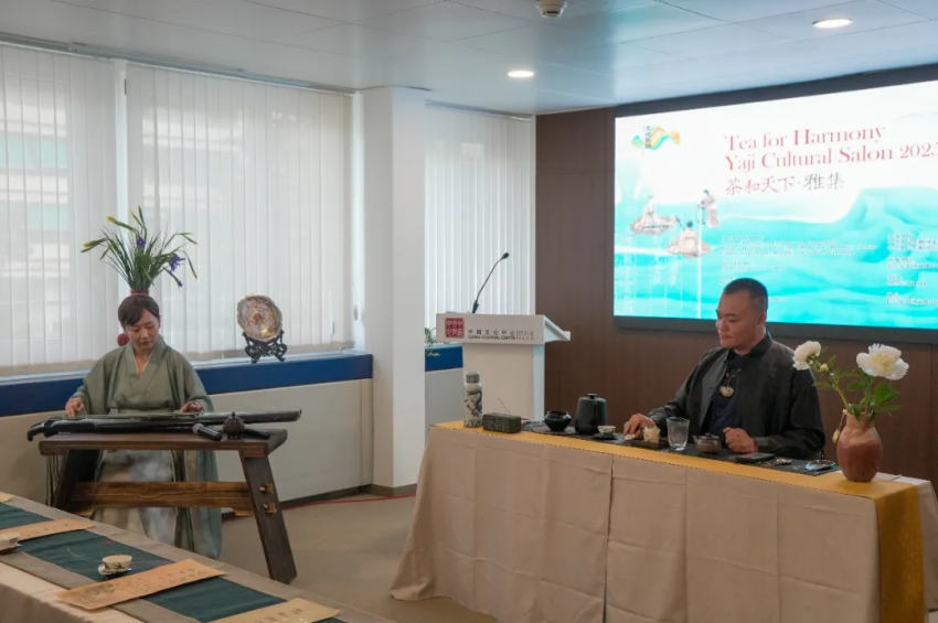 中国与瑞士文化交流合作开启新篇章——伯尔尼中国文化中心正式揭牌(图27)