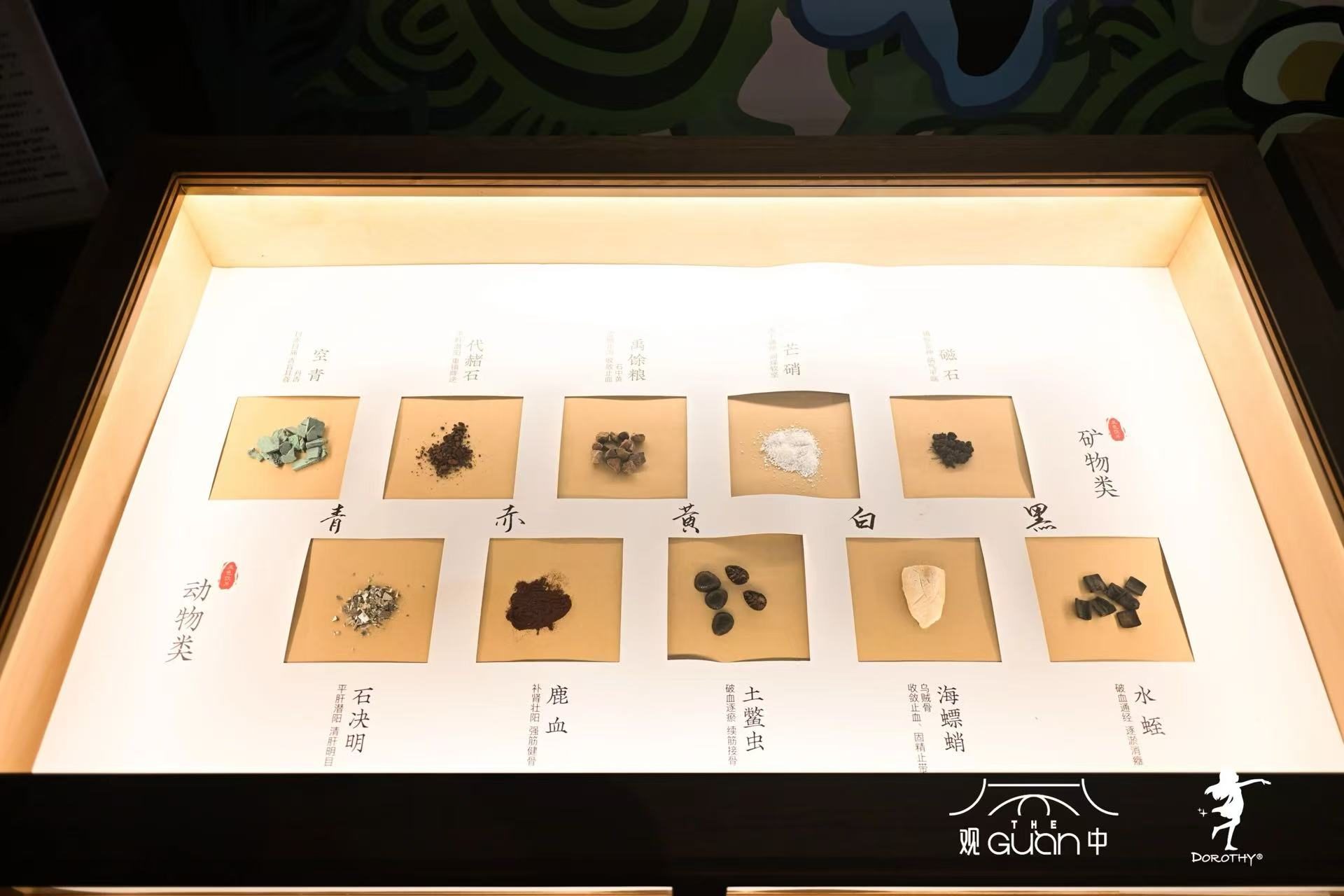 “草木间——中轴国医之多萝西仙草精灵艺术展”全国首展在京开幕(图7)