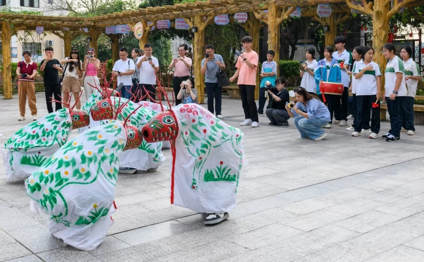 壮美广西 多彩边关(图4)