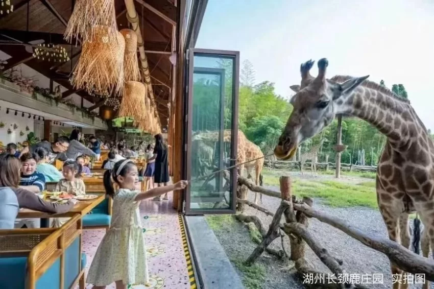 &ldquo;聪明游&rdquo;如何提供旅游新体验？(图4)