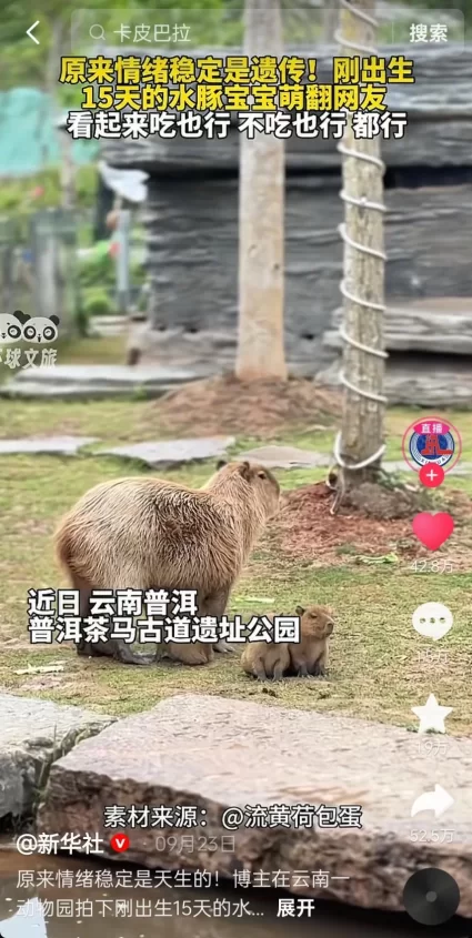 &ldquo;聪明游&rdquo;如何提供旅游新体验？(图8)