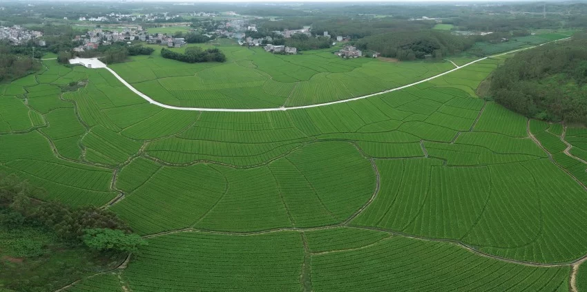 风从白州起 有诗有远方(图1)
