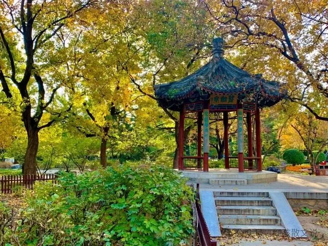 红孩新作｜日坛只有一叶风筝&mdash;&mdash;谨以此文纪念史铁生逝世15周年(图3)