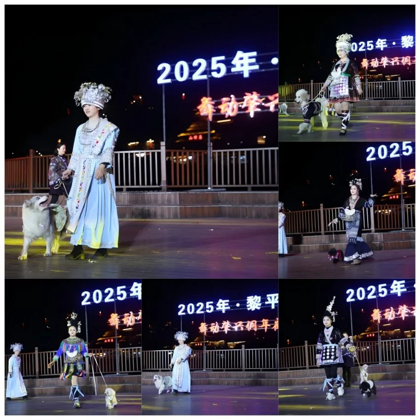 第二届气候变化与旅游发展大会在贵州黎平成功召开&mdash;&mdash;共筑&ldquo;零碳&rdquo;文旅绿色新生态(图20)