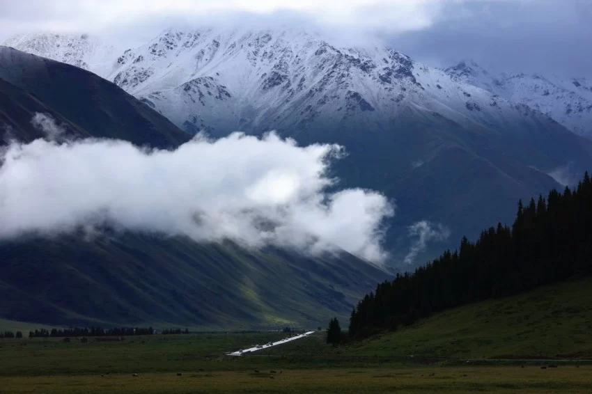 在伊犁穿越天山画廊，看独库公路&ldquo;一路生花&rdquo;(图2)
