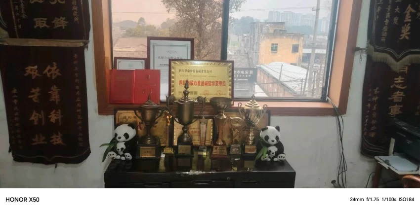 【中岩书院】请欣赏:钢铁脊梁 青神荣光——记四川省模范退役军人张仲安的奇迹人生(图3) 【中岩书院】钢铁脊梁 青神荣光——记四川省模范退役军人张仲安的奇迹人生(图2)