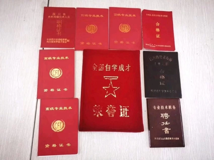 【中岩书院】专利破局 健康启航——张仲安携七大核心专利诚邀全球伙伴共拓千亿市场(图9) 【中岩书院】专利破局 健康启航——张仲安携七大核心专利诚邀全球伙伴共拓千亿市场(图9)