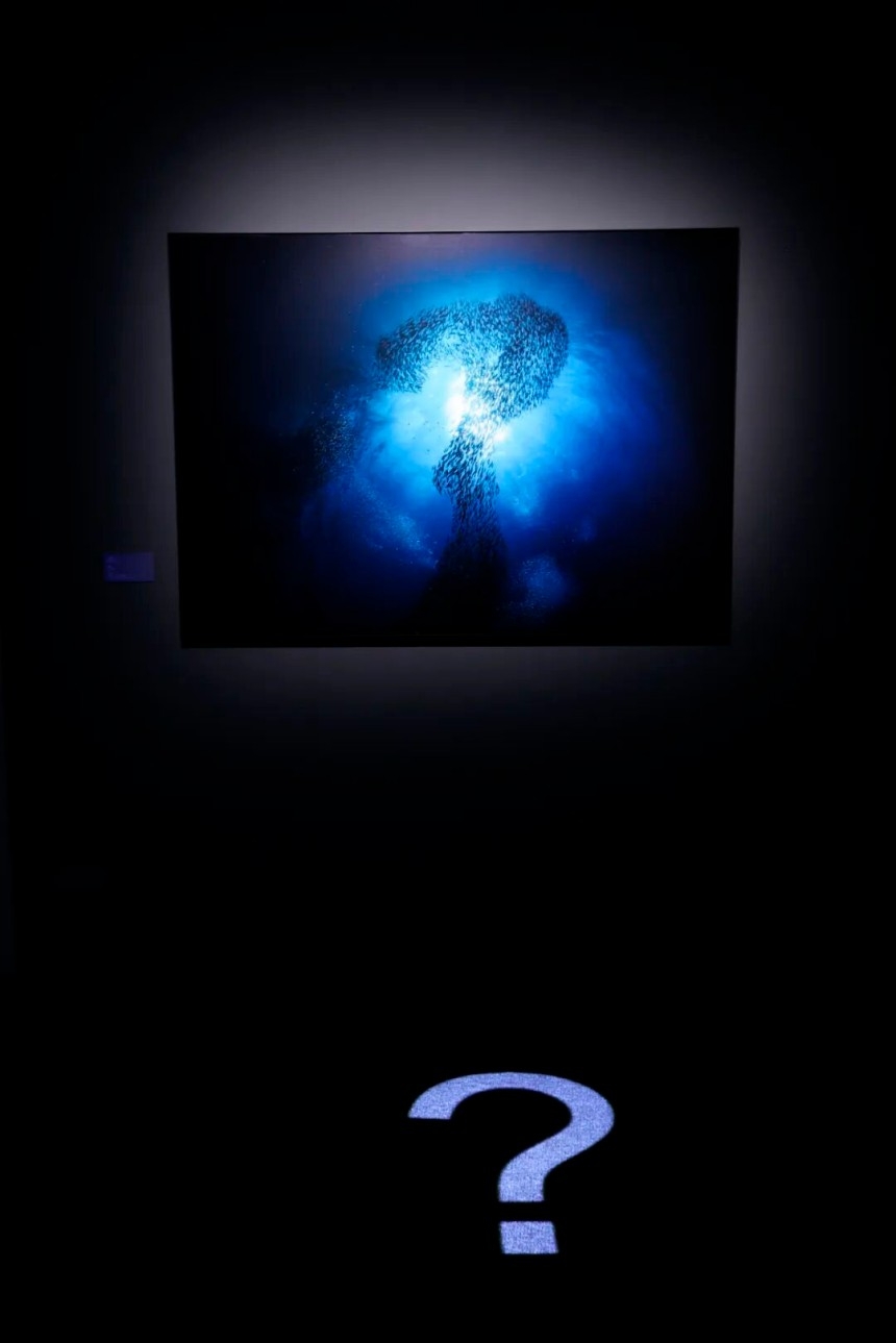 北京摄影周2026“迭现:十四种影像实践的共置艺术展”,多重经验拓展观看边界(图17) 北京摄影周2026“迭现:十四种影像实践的共置艺术展”,多重经验拓展观看边界(图17)